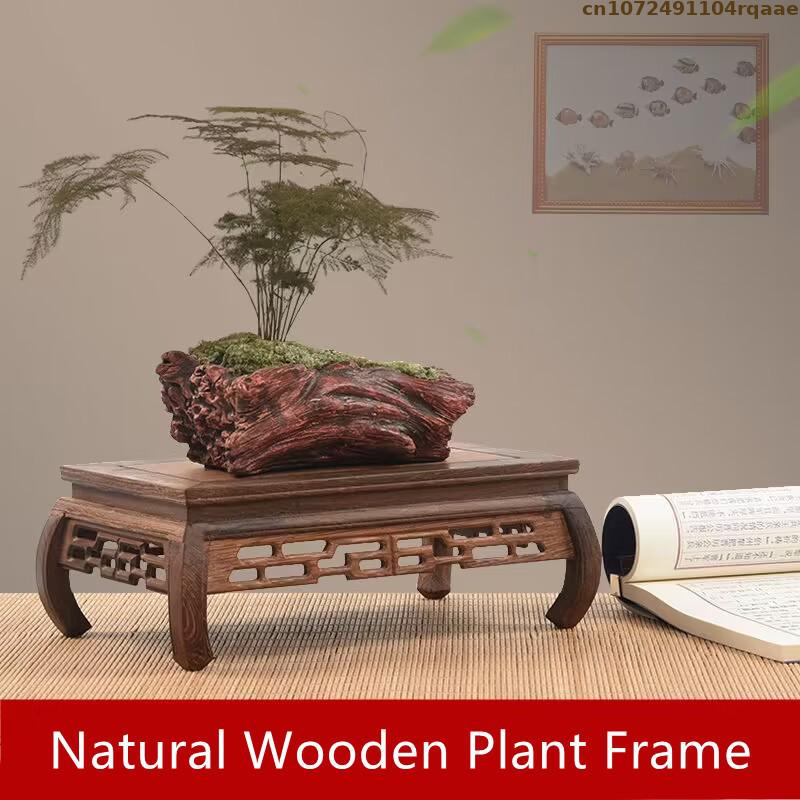 Premium Ahşap Üsler Bonsai Tut - Coffee Tea Display incelemesi ve fiyatı
